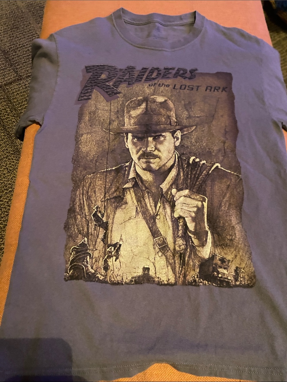 Disney Raiders of the Lost Ark Graphic Tee - Gray and Black